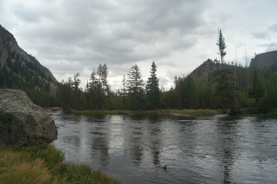      (Yellowstone National Park).  