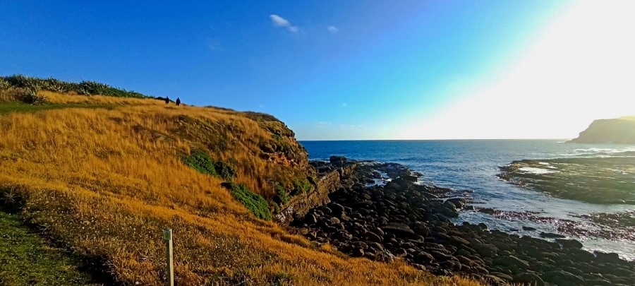  Curio Bay Cliffs       