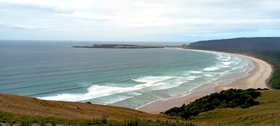  Tautuku Bay   