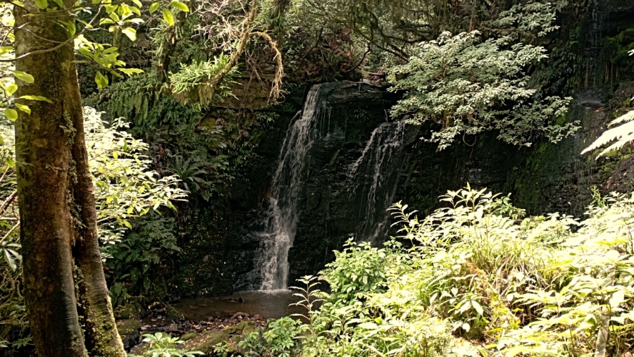  Matai Falls     Horseshoe Falls ()