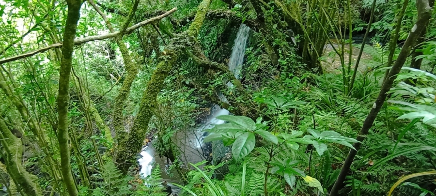  Horseshoe Falls (),  