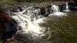     Purakaunui Falls