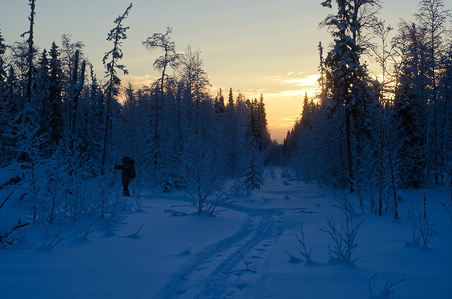 Просека
