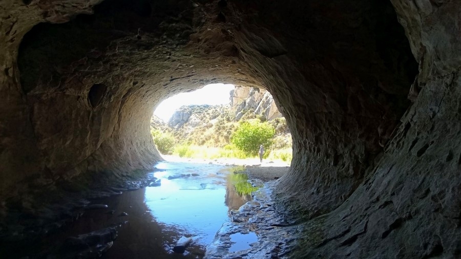    - Cave Stream Scenic Reserve
