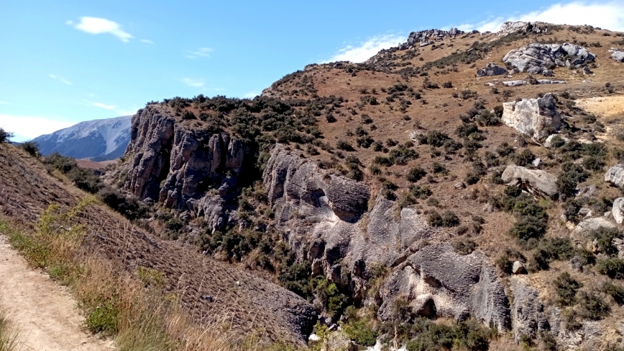    Cave Stream Scenic Reserve