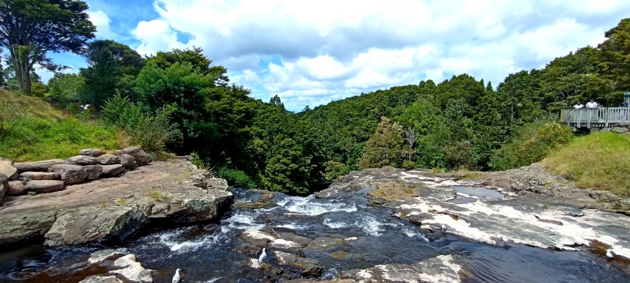    Whangarei Falls
