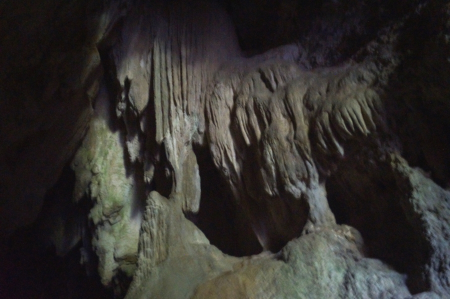    Kawiti Glowworm
