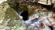    Cave Stream Scenic Reserve
