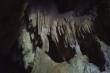    Kawiti Glowworm